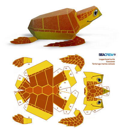 Stampa e Incolla: Tartaruga